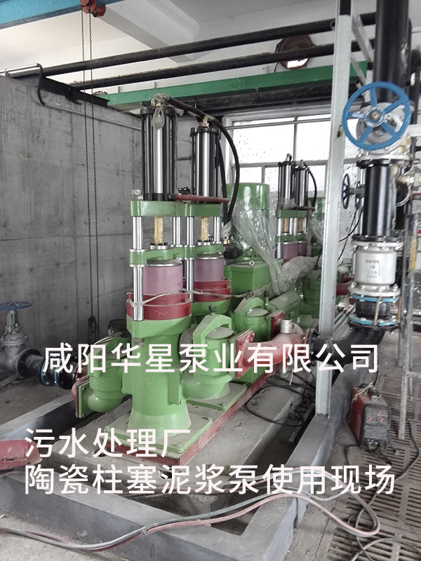 山東淄博光大水務-市政污水處理-水印2