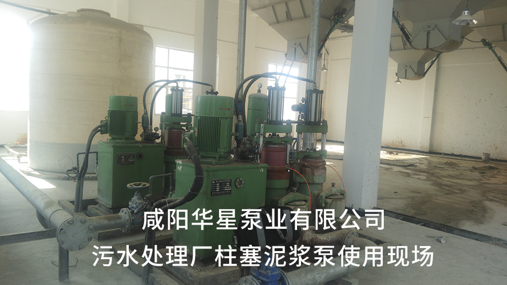 湖北仙桃污水處理廠2-水印