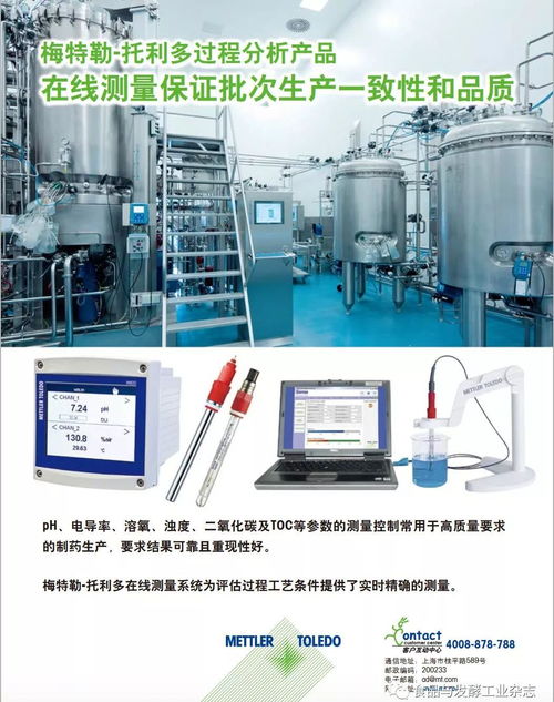 網絡技術開發的創新與應用 從論壇專家到國際化視角